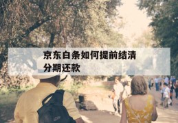 京东白条如何提前结清分期还款