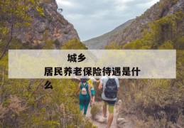 
       城乡居民养老保险待遇是什么
     