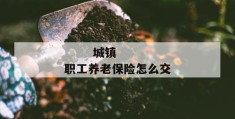 
       城镇职工养老保险怎么交
     