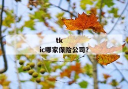 
       tkic哪家保险公司？
     