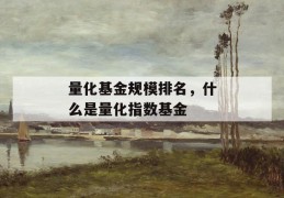 量化基金规模排名，什么是量化指数基金