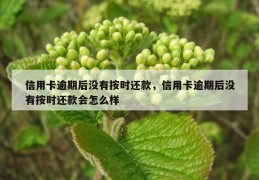 信用卡逾期后没有按时还款，信用卡逾期后没有按时还款会怎么样