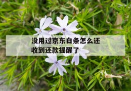 没用过京东白条怎么还收到还款提醒了