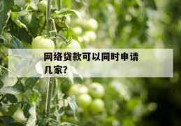 网络贷款可以同时申请几家？