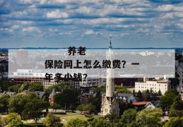 
       养老保险网上怎么缴费？一年多少钱？
     