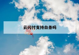 云闪付支持白条吗