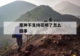 原神不支持花呗了怎么回事