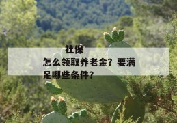 
       社保怎么领取养老金？要满足哪些条件？
     