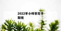 2022羊小咩享花卡取现