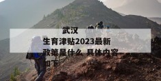 
       武汉生育津贴2023最新政策是什么 具体内容如下
     