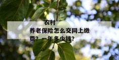 
       农村养老保险怎么交网上缴费？一年多少钱？
     