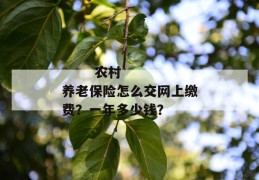 
       农村养老保险怎么交网上缴费？一年多少钱？
     