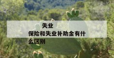 
       失业保险和失业补助金有什么区别
     