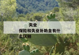 
       失业保险和失业补助金有什么区别
     