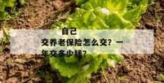 
       自己交养老保险怎么交？一年交多少钱？
     