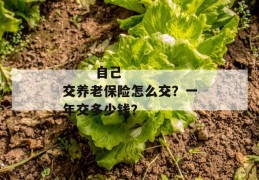 
       自己交养老保险怎么交？一年交多少钱？
     