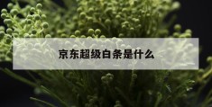 京东超级白条是什么