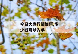 今日大盘行情如何,多少钱可以入手