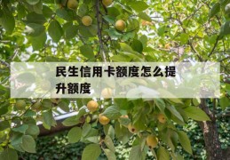 民生信用卡额度怎么提升额度