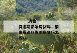 
       消费贷逾期影响房贷吗，消费贷逾期影响房贷吗怎么办
     