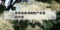 京东白条当前帐户无凯发天生赢家一触即发官网的支付方式