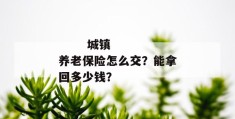 
       城镇养老保险怎么交？能拿回多少钱？
     