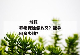 
       城镇养老保险怎么交？能拿回多少钱？
     