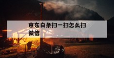 京东白条扫一扫怎么扫微信