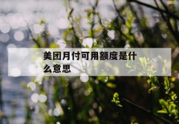 美团月付可用额度是什么意思