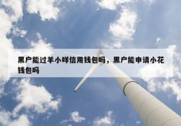 黑户能过羊小咩信用钱包吗，黑户能申请小花钱包吗