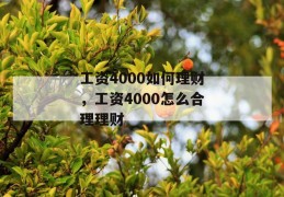 工资4000如何理财，工资4000怎么合理理财