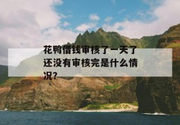 花鸭借钱审核了一天了还没有审核完是什么情况？