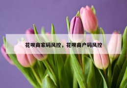 花呗商家码风控，花呗商户码风控