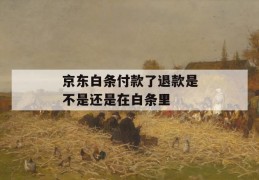 京东白条付款了退款是不是还是在白条里