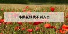 小鹅花钱找不到入口