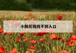 小鹅花钱找不到入口