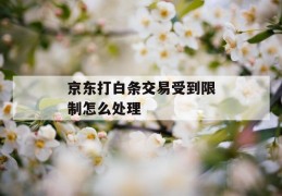 京东打白条交易受到限制怎么处理