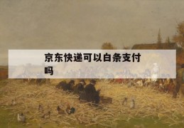 京东快递可以白条支付吗