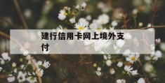 建行信用卡网上境外支付