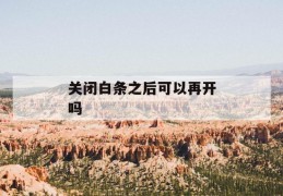 关闭白条之后可以再开吗