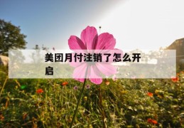 美团月付注销了怎么开启