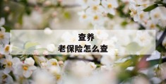 
       查养老保险怎么查
     