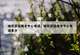 哈尔滨信用卡中心电话，哈尔滨信用卡中心电话多少