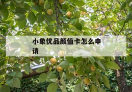 小象优品颜值卡怎么申请