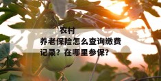 
       农村养老保险怎么查询缴费记录？在哪里参保？
     