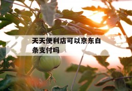 天天便利店可以京东白条支付吗