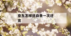 京东怎样还白条一次还完