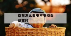 京东怎么看支不支持白条支付