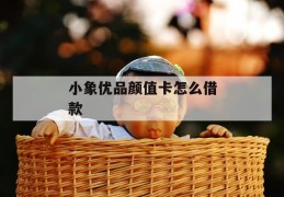 小象优品颜值卡怎么借款