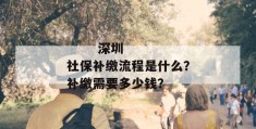 
       深圳社保补缴流程是什么？补缴需要多少钱？
     